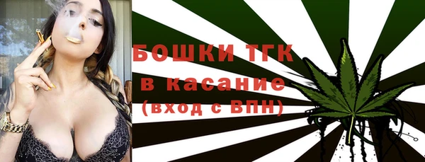 бошки Алексин
