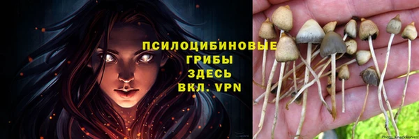 ALPHA PVP Алексеевка