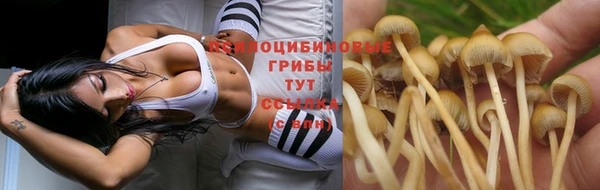 спиды Абинск
