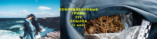 бошки Алексин