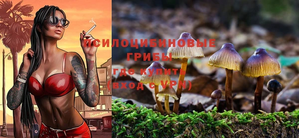 ALPHA PVP Алексеевка