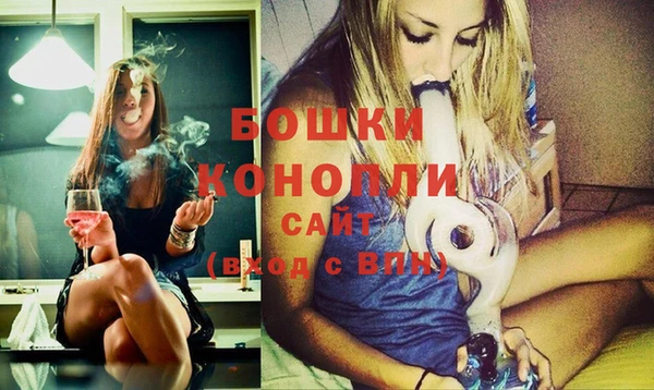 бошки Алексин