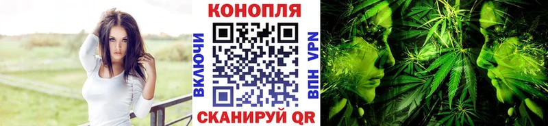 купить закладку  Истра  Бошки Шишки Ganja 
